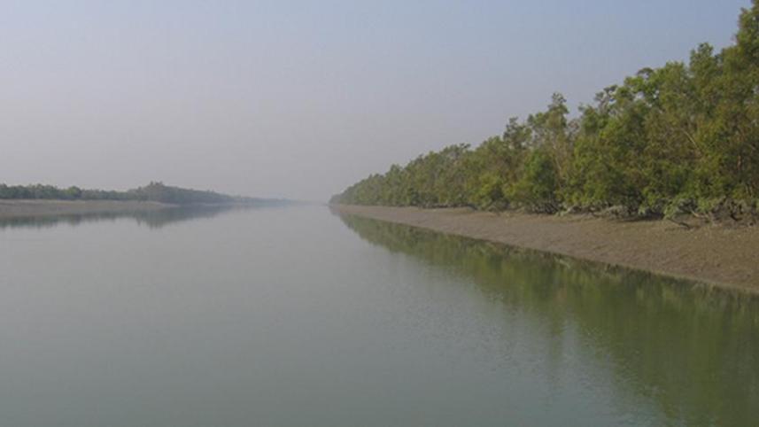 sunderbans-river.jpg