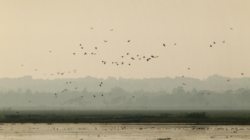 Sunset at Baikka Beel.jpg