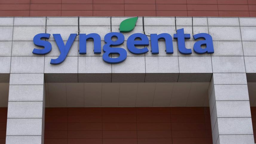 Syngenta.JPG