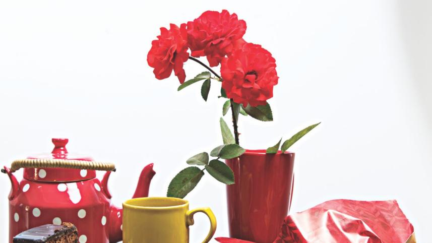Teasome goodness