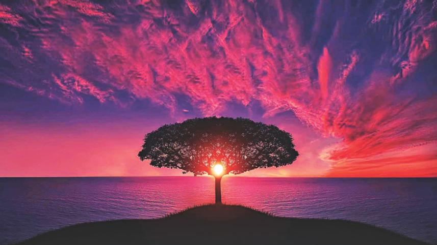 The Burning Tree