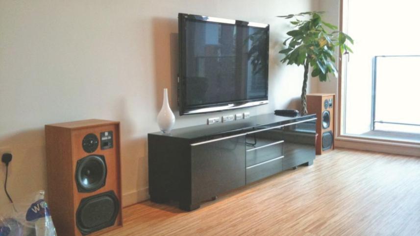 The Flat Screen Television