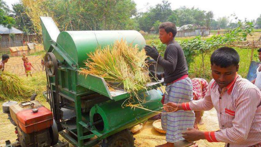 Threshers get popular.jpg