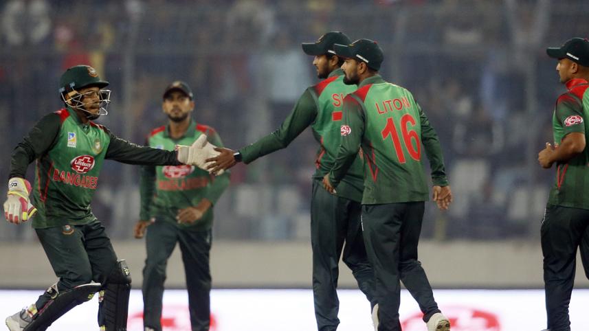 Tigers celebrate a wicket.jpg