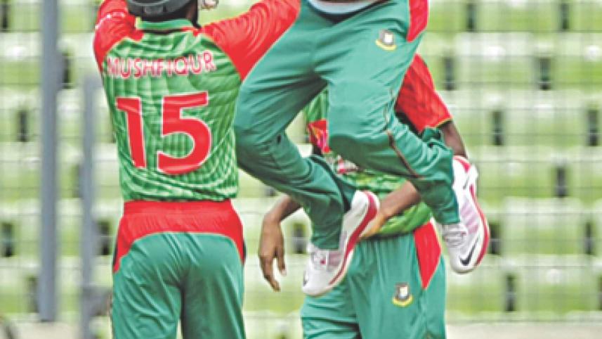 tigers joy wicket.jpg