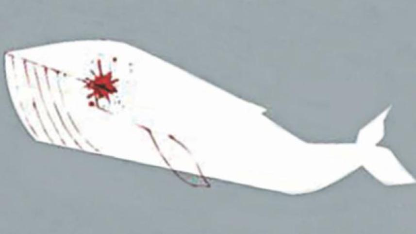 Blue Whale Challenge game.jpg