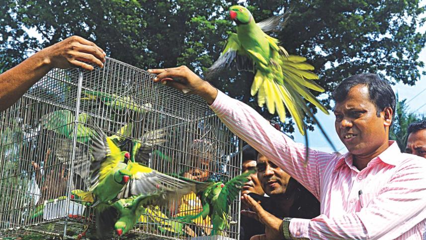 Wild birds.jpg