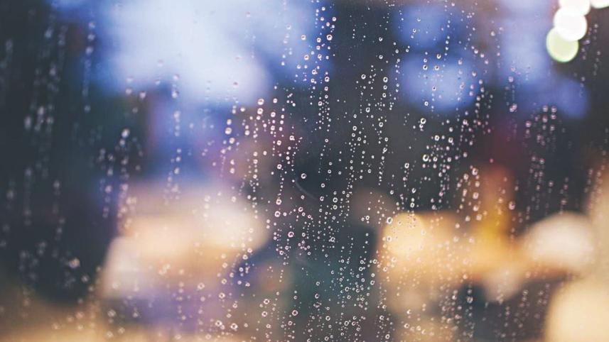 Wild darkness of rain