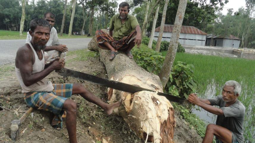 Workers employed.jpg