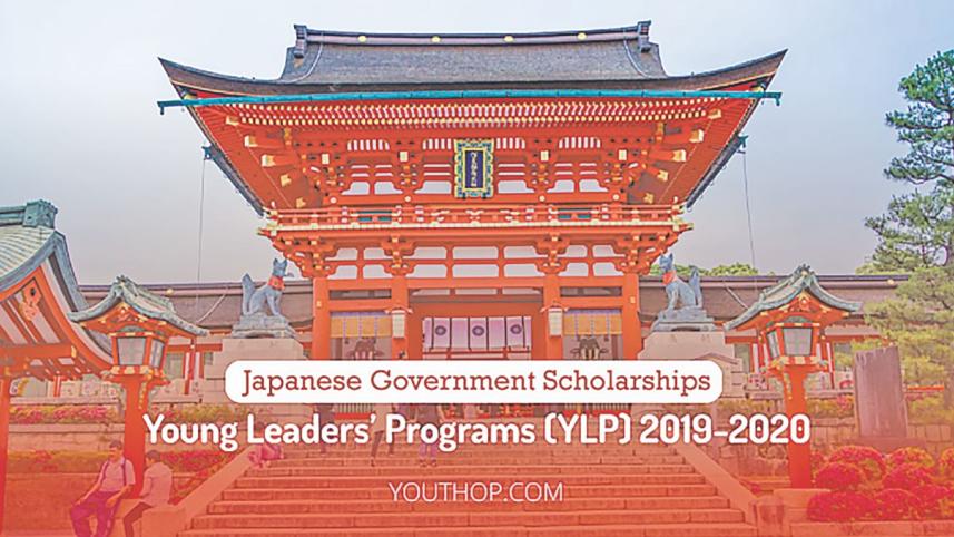 ylp.jpg