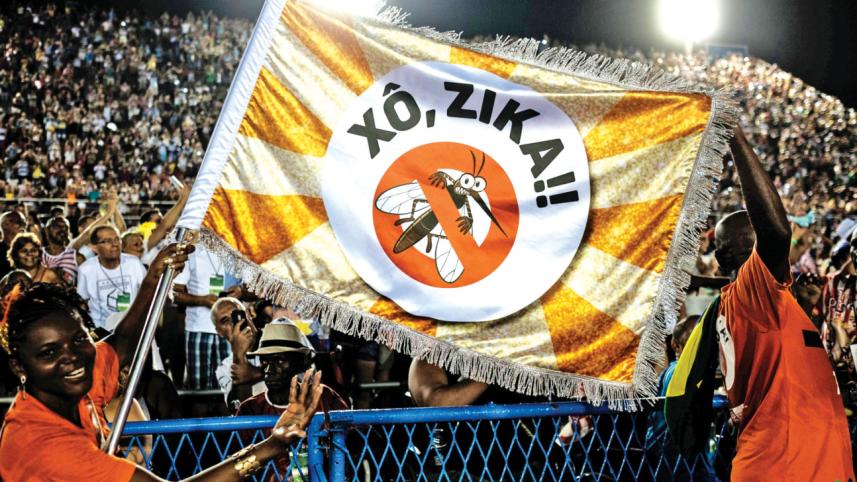 zika.jpg
