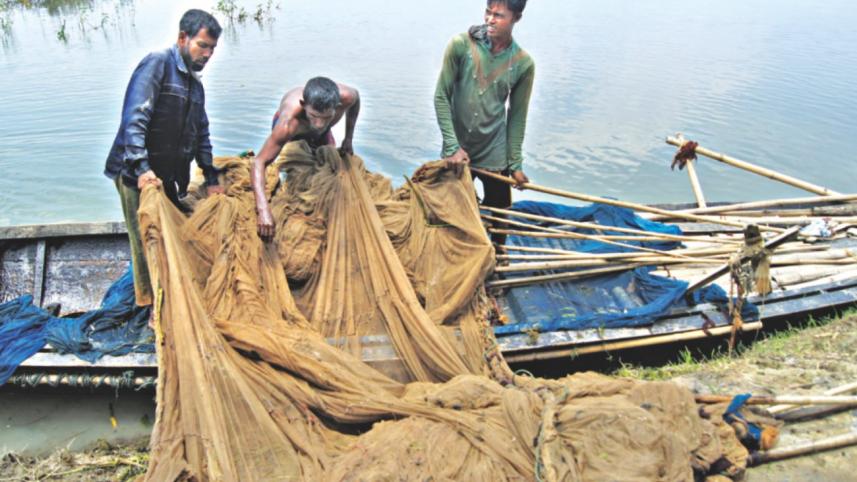 fishermen catch fish