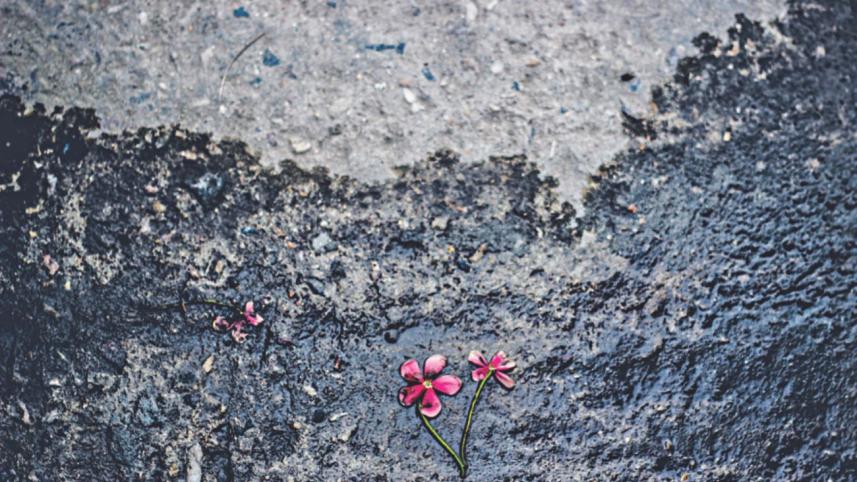 Flashes of Brilliance