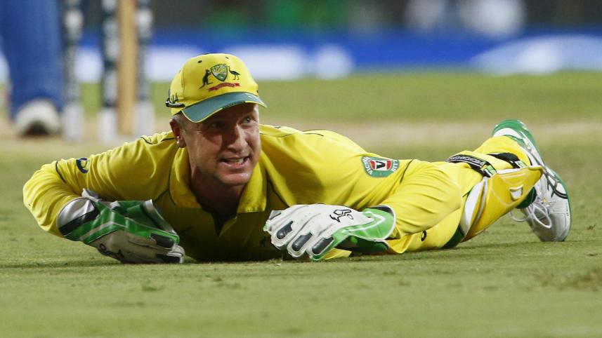 Haddin drops a dolly!