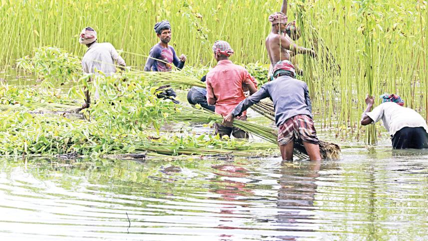 farmers-in-tangail.jpg