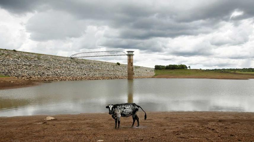 zimbabwe-bolsters-emissions.jpg