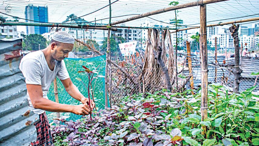 horticulture.jpg