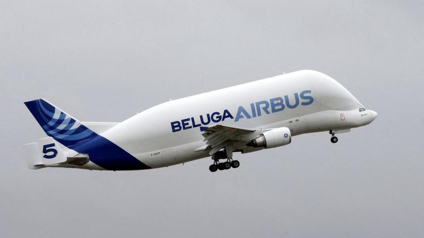 airbus-whale-reuters.jpg