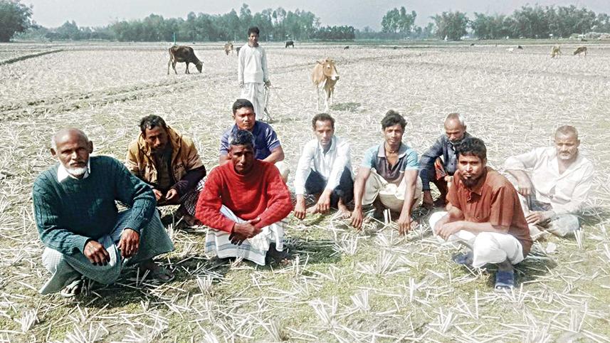 nilphamariirrigationin.jpg