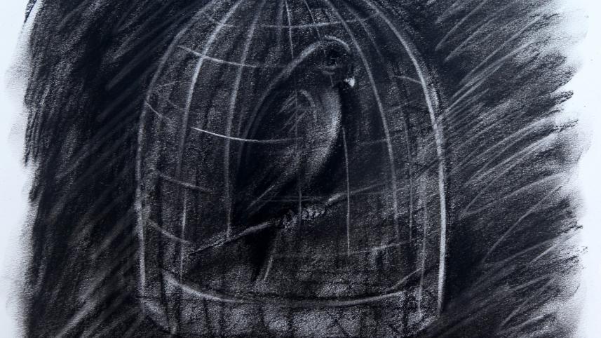 caged_bird_charcoal_on_paper_26_x_27cm_10x10.5in_2020.jpg