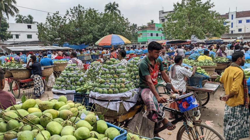 kansat mango market