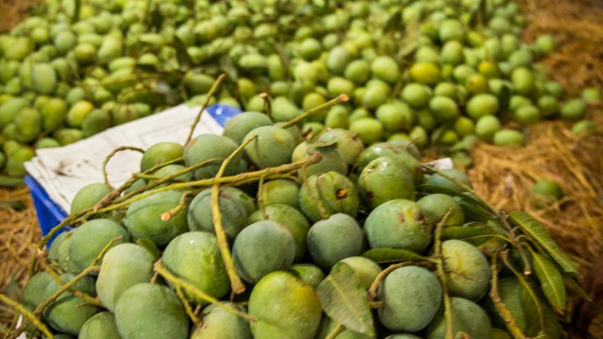 Ripe mangoes in a basket 