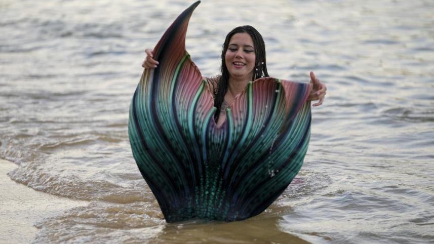 merm4.jpeg