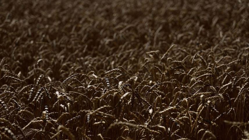 global-food-crisis-demands.jpg