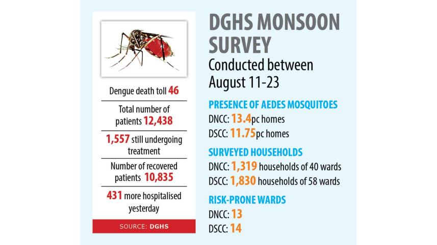 dengue-crisis.jpg