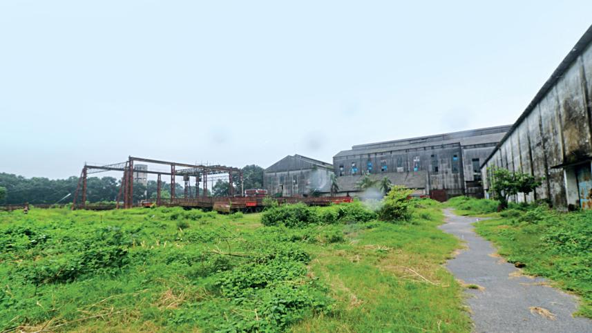 sugar-mills.jpg