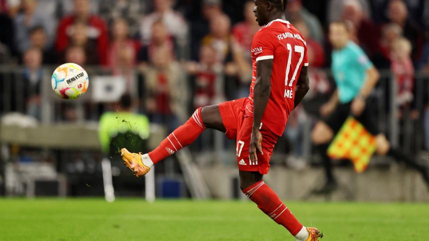 mane.jpg