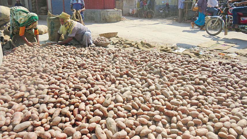 potato-farmers-2.jpg