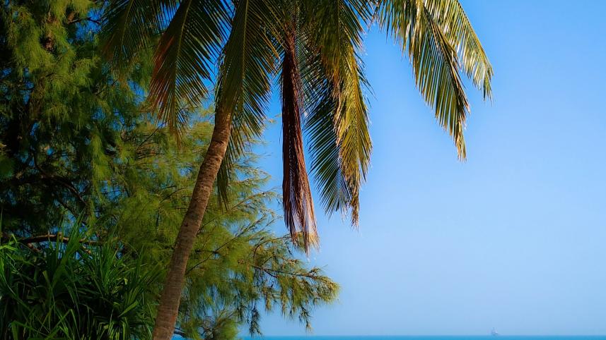 saint martin 6 places in Bangladesh to visit in winter