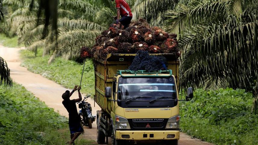 indonesia.jpg