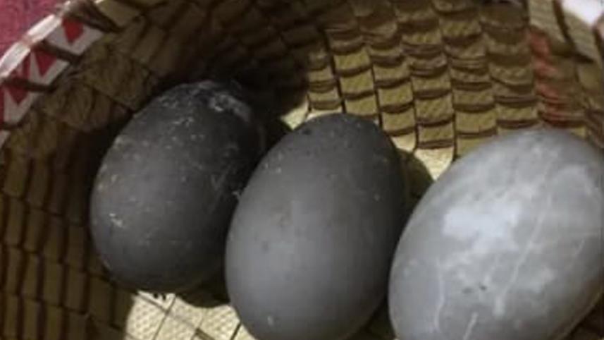Duck black eggs