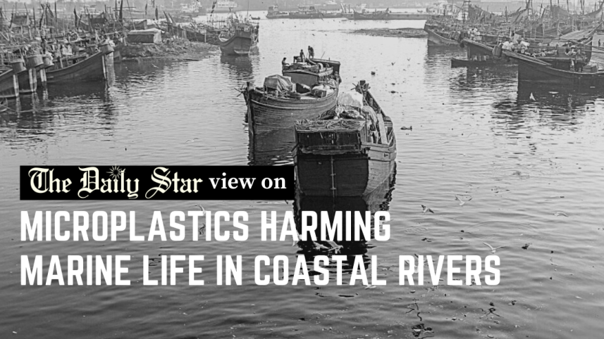 microplastics harming marine life in sundarbans