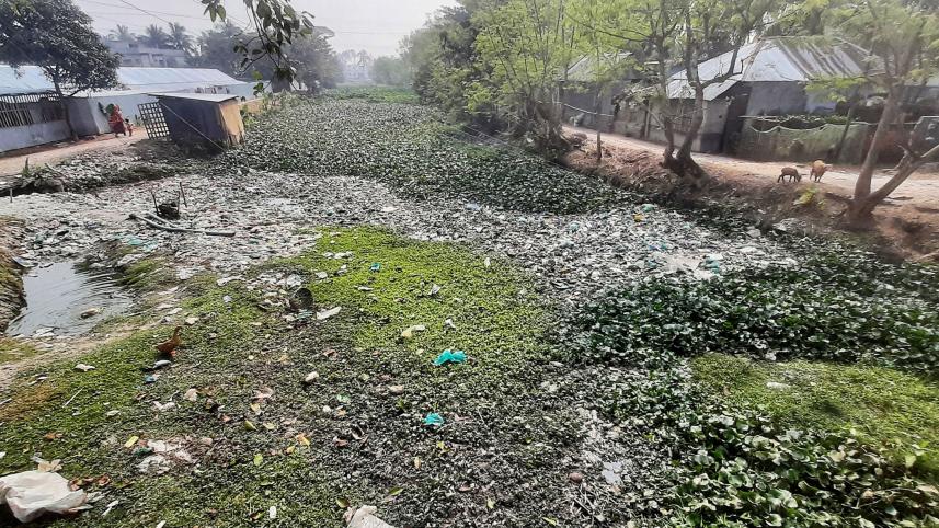 karikapara-canal.jpg