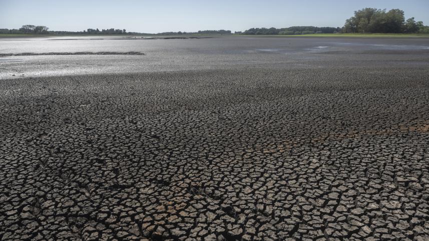 water.jpg