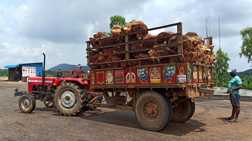 indias-palmoil-import.jpg