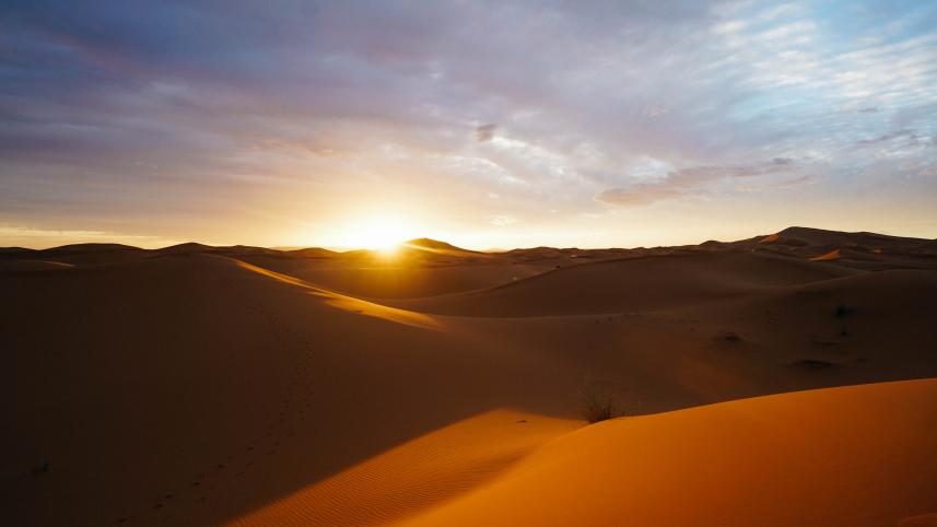 The Sahara Desert Top 5 desert holidays you can plan for your next vacation