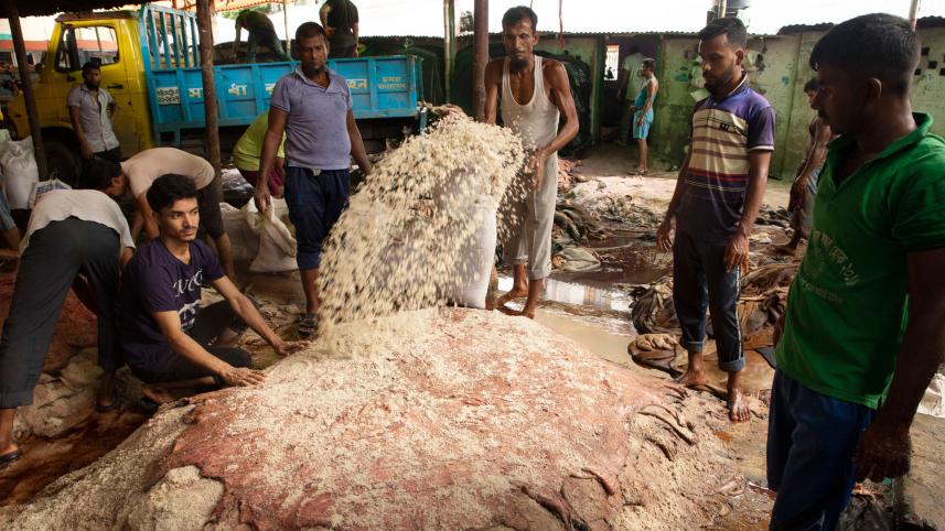tannery-workers.jpg