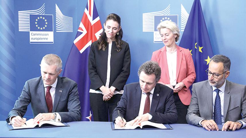 new-zealand-signs.jpg
