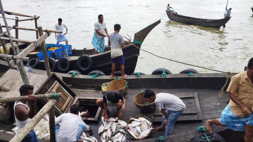 hilsha_in_bangladesh_2.jpeg