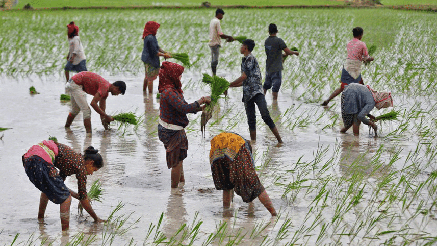 indian-farmers.gif