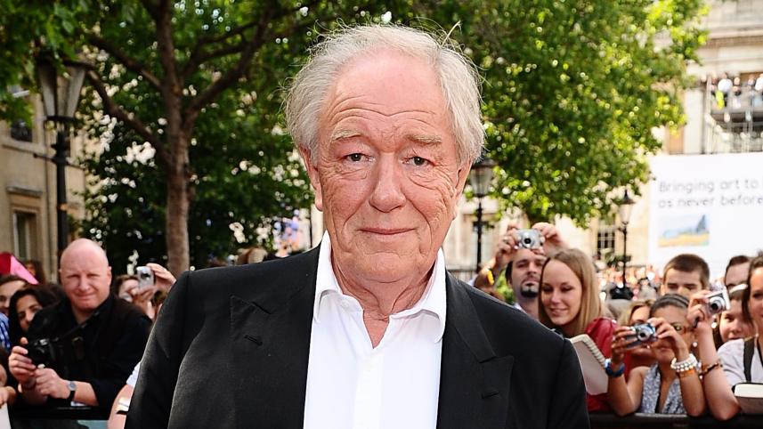 skynews-michael-gambon-harry-potter_6300936.jpg