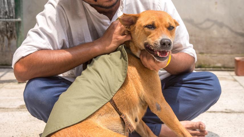 dog-friendly spaces in Dhaka