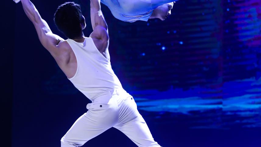 Voices of Spring Golden Dreams.jpg