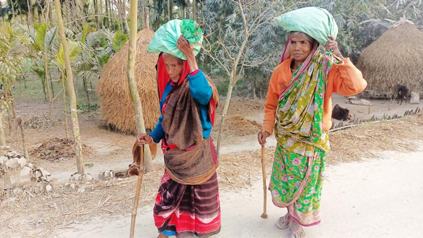 rangpur elderly 
