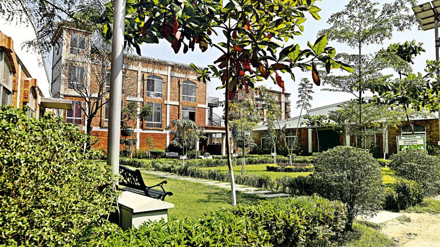 green-factory-2.jpg