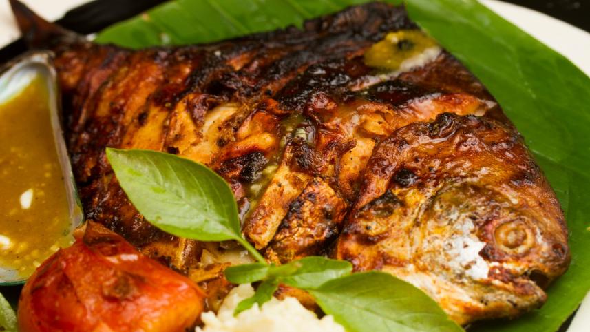 grilled_salmon     Catch of the day: Seafood recipes you will love